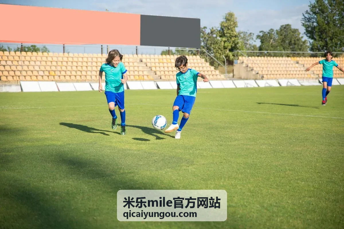 米乐mile官方网站玩法内容概览封面图